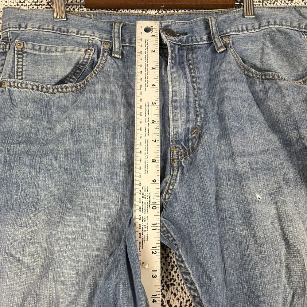 Levis levis 527